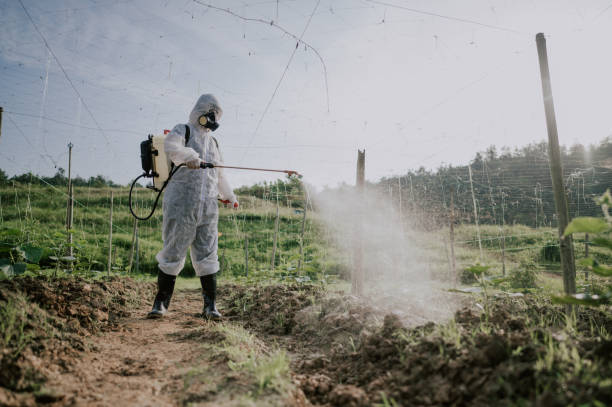 Best Mosquito Control Services  in Barboursville, WV