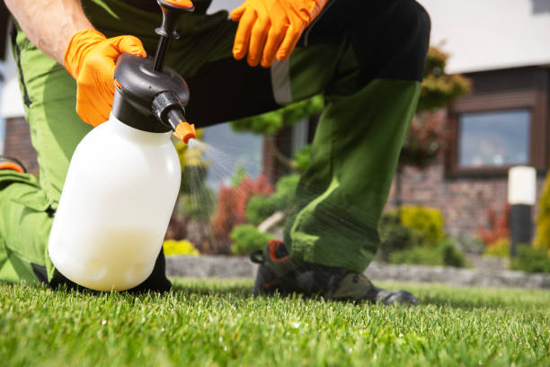 Best Affordable Exterminators  in Barboursville, WV