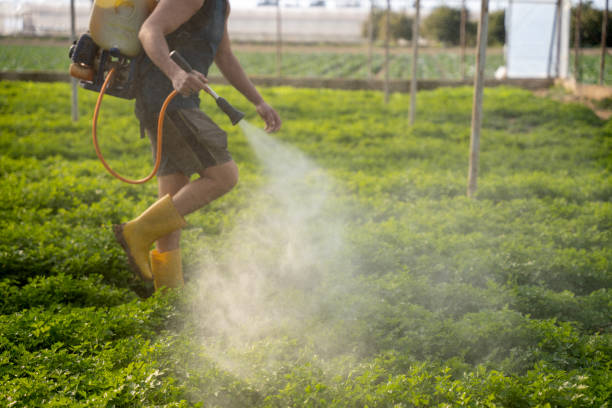 Best Pest Removal Services  in Barboursville, WV
