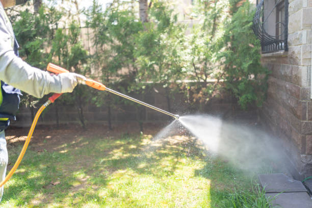 Best Exterminator Services  in Barboursville, WV