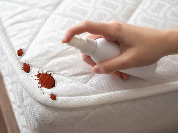 Best Commercial Pest Control Services  in Barboursville, WV